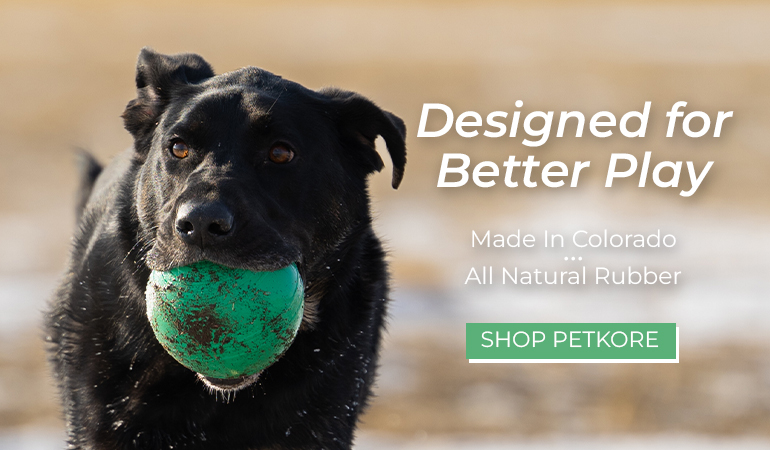 A dog runs across a snowy field carrying a green ball toy in its mouth, with the text “Designed for Better Play” and a button labeled “Shop PetKORE” displayed on the right side.