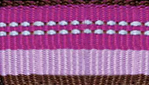 K9 Explorer® Reflective Adjustable Dog Collar Product image